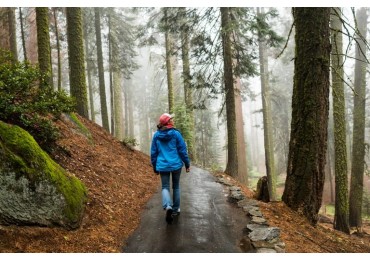  How Walking Meditation Can Improve Your Mental Health